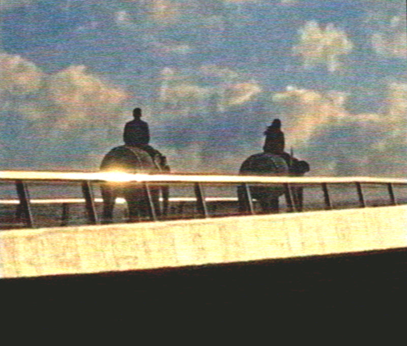 na błysk